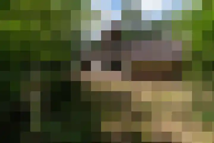 Louise de Colignylaan 4 Eerbeek thumbnail 30