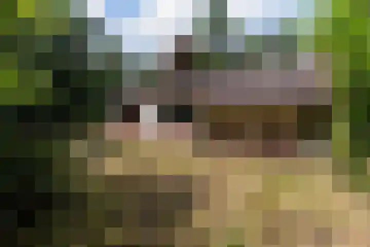 Louise de Colignylaan 4 Eerbeek thumbnail 31