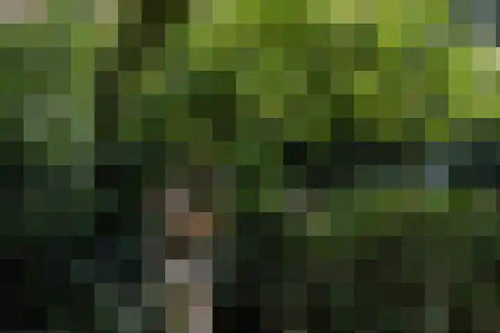 Louise de Colignylaan 4 Eerbeek thumbnail 32