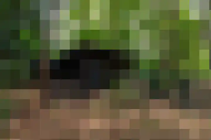 Louise de Colignylaan 4 Eerbeek thumbnail 33