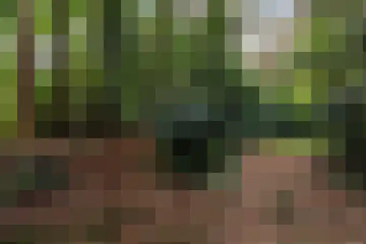 Louise de Colignylaan 4 Eerbeek thumbnail 34