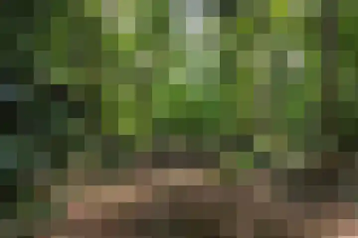 Louise de Colignylaan 4 Eerbeek thumbnail 35