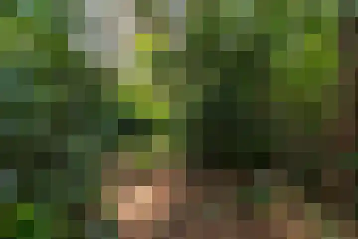 Louise de Colignylaan 4 Eerbeek thumbnail 36