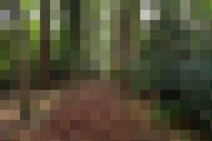 Louise de Colignylaan 4 Eerbeek thumbnail 37