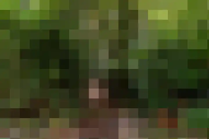 Louise de Colignylaan 4 Eerbeek thumbnail 38