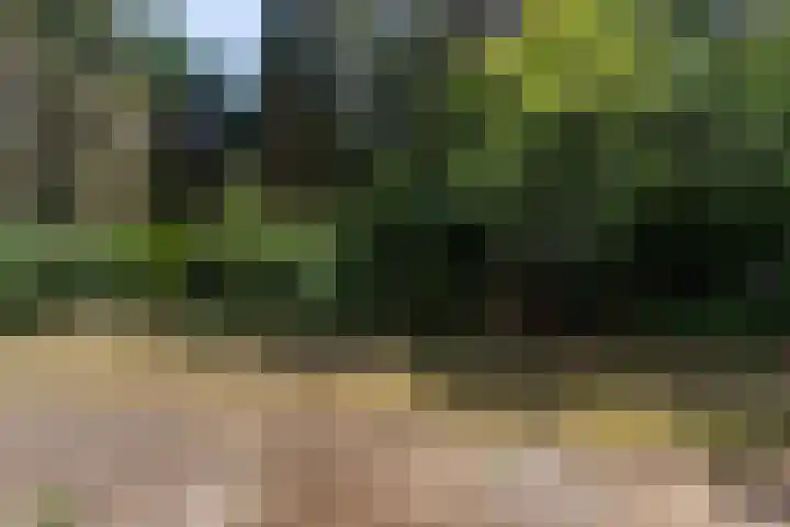 Louise de Colignylaan 4 Eerbeek thumbnail 39