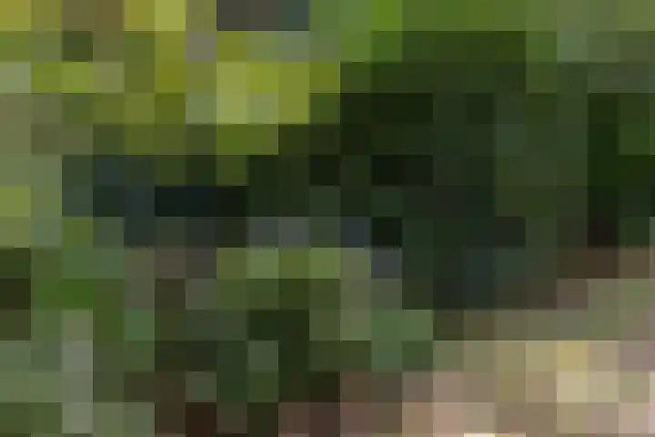 Louise de Colignylaan 4 Eerbeek thumbnail 40