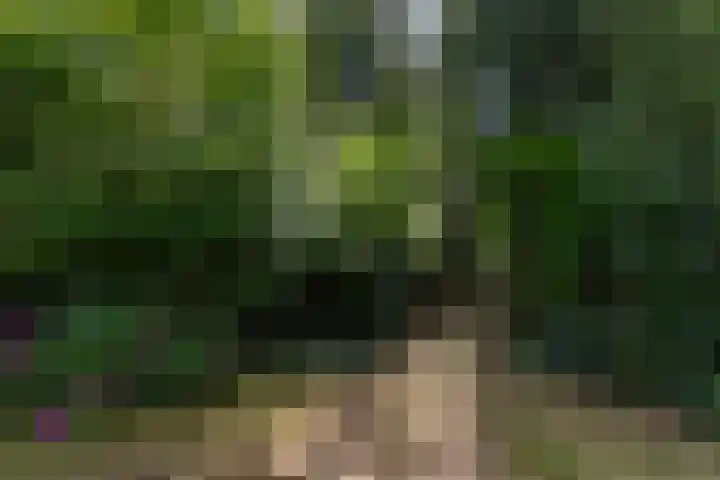 Louise de Colignylaan 4 Eerbeek thumbnail 41