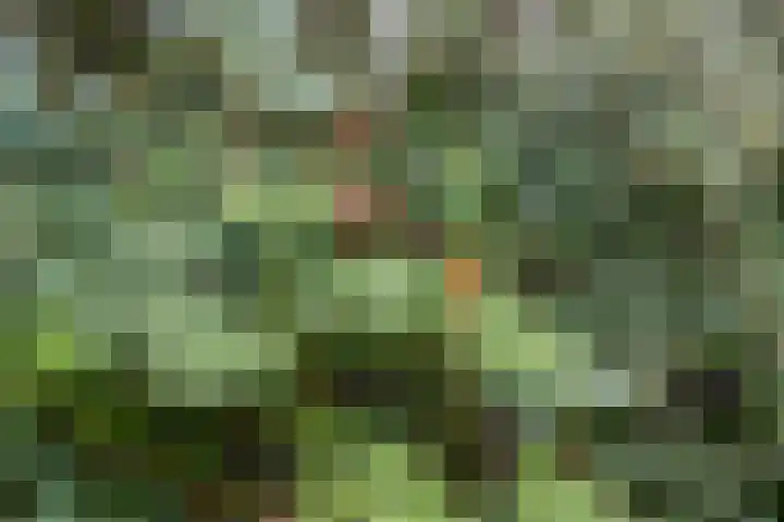 Louise de Colignylaan 4 Eerbeek thumbnail 42