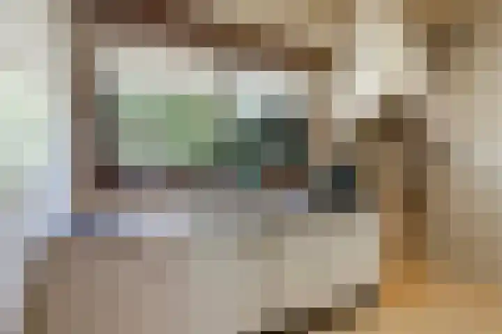 Louise de Colignylaan 4 Eerbeek thumbnail 9