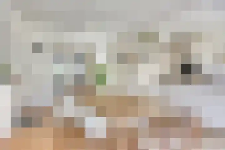 Louise de Colignylaan 4 Oegstgeest thumbnail 13