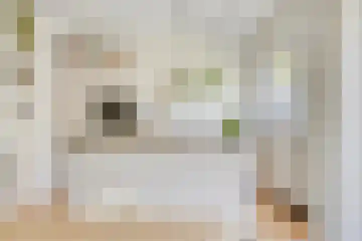 Louise de Colignylaan 4 Oegstgeest thumbnail 14