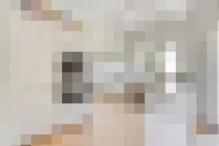 Louise de Colignylaan 4 Oegstgeest thumbnail 15