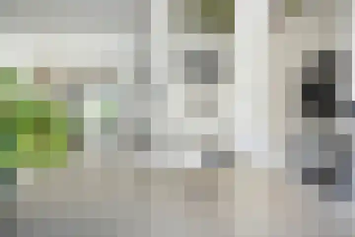 Louise de Colignylaan 4 Oegstgeest thumbnail 17