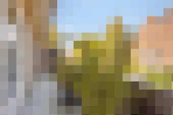 Louise de Colignylaan 4 Oegstgeest thumbnail 23