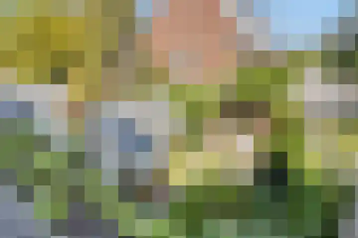 Louise de Colignylaan 4 Oegstgeest thumbnail 24