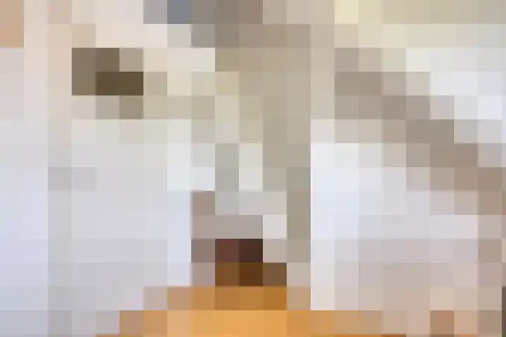 Louise de Colignylaan 4 Oegstgeest thumbnail 31