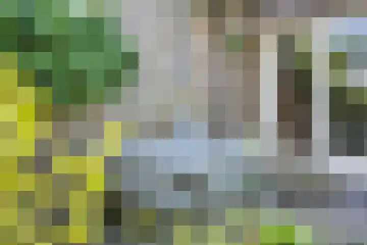 Louise de Colignylaan 4 Oegstgeest thumbnail 37