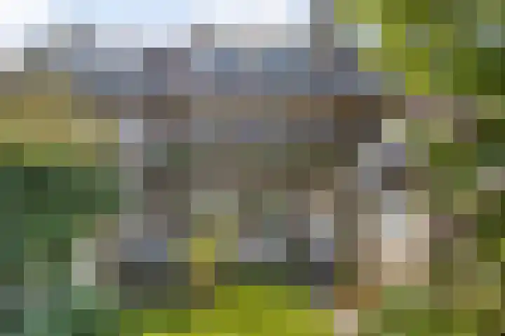 Louise de Colignylaan 4 Oegstgeest thumbnail 39