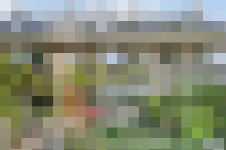 Louise de Colignylaan 4 Oegstgeest thumbnail 4