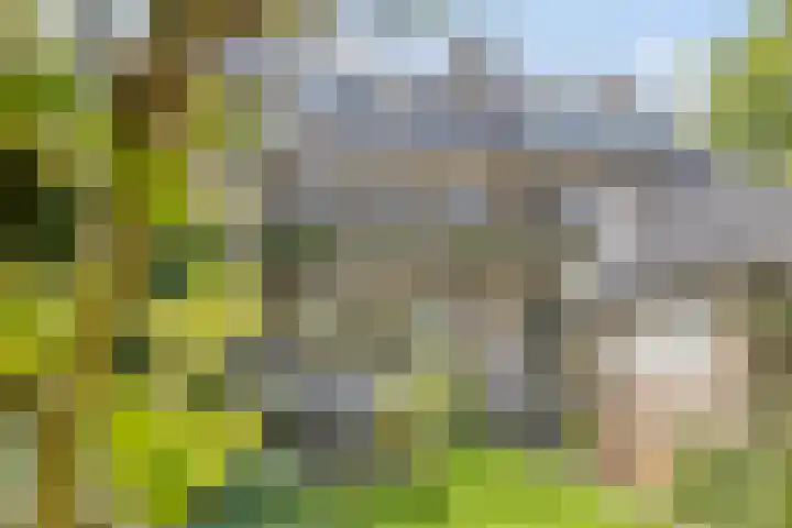Louise de Colignylaan 4 Oegstgeest thumbnail 40