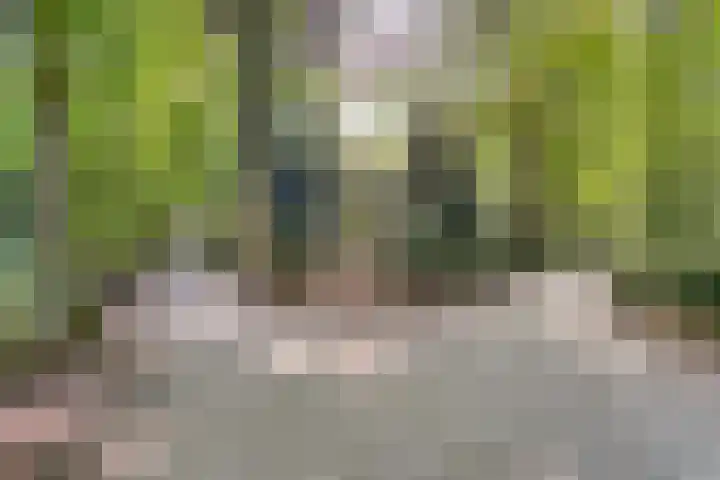 Louise de Colignylaan 4 Oegstgeest thumbnail 44