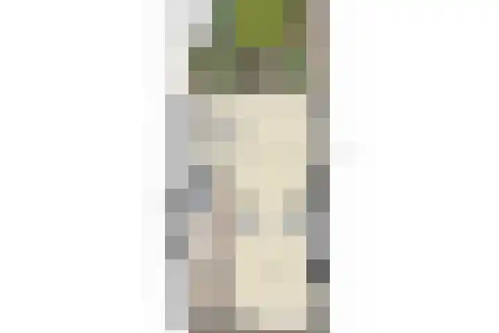 Louise de Colignylaan 4 Oegstgeest thumbnail 45