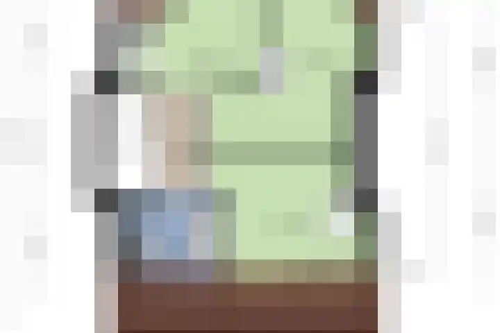 Louise de Colignylaan 4 Oegstgeest thumbnail 48