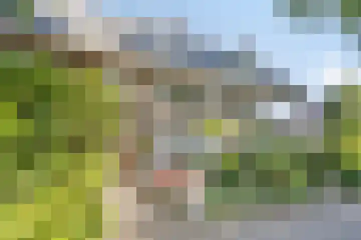 Louise de Colignylaan 4 Oegstgeest thumbnail 51