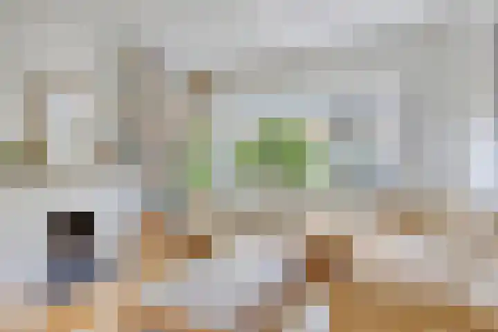 Louise de Colignylaan 4 Oegstgeest thumbnail 8