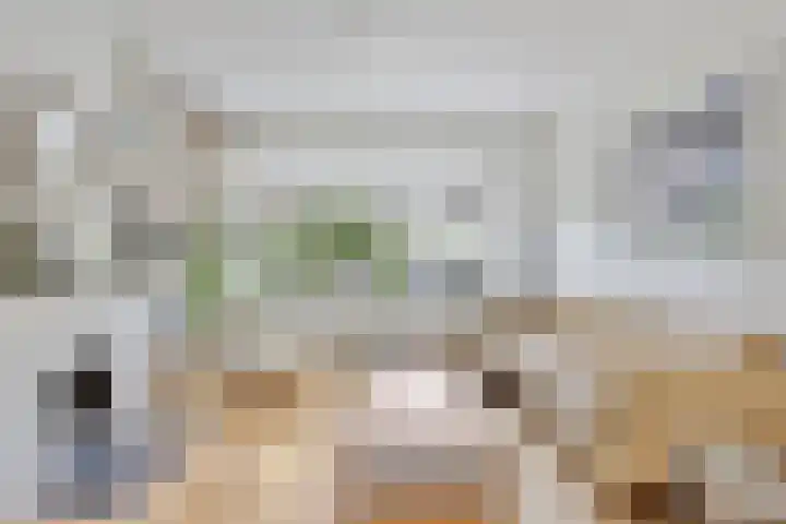 Louise de Colignylaan 4 Oegstgeest thumbnail 9