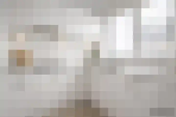 Louise de Colignylaan 5 H Goes thumbnail 17