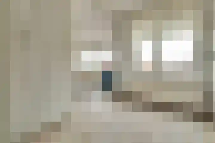 Louise de Colignylaan 5 H Goes thumbnail 24