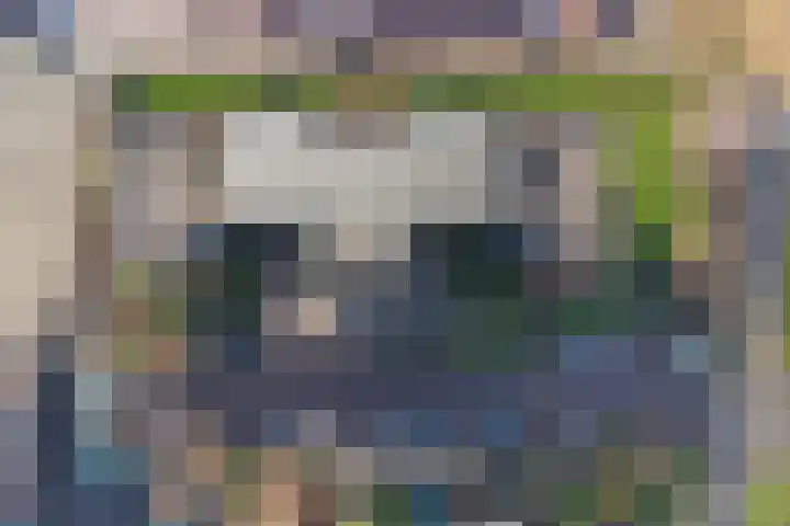 Louise de Colignylaan 5 H Goes thumbnail 36