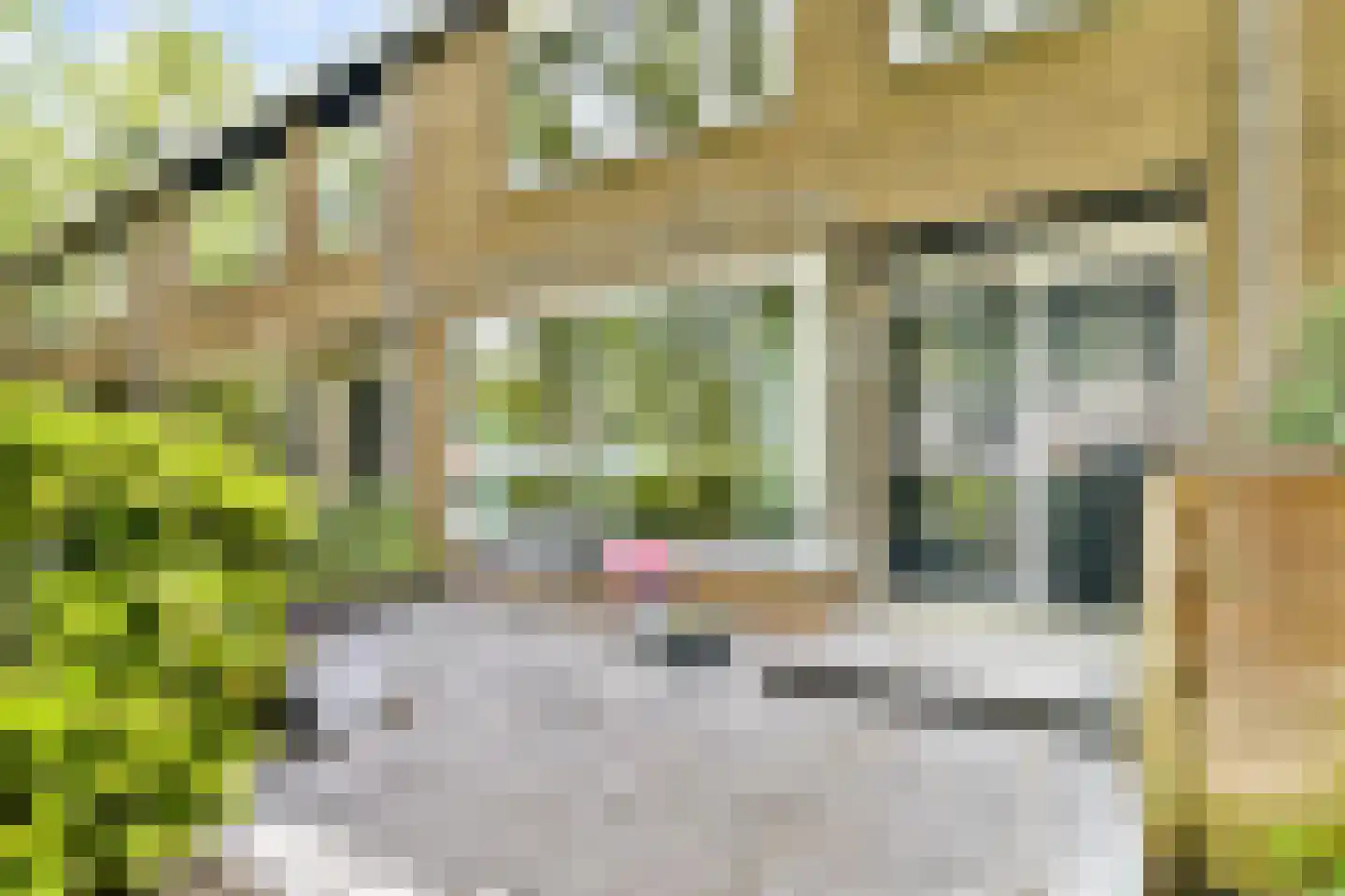 Louise de Colignylaan 52 Vlaardingen thumbnail 5
