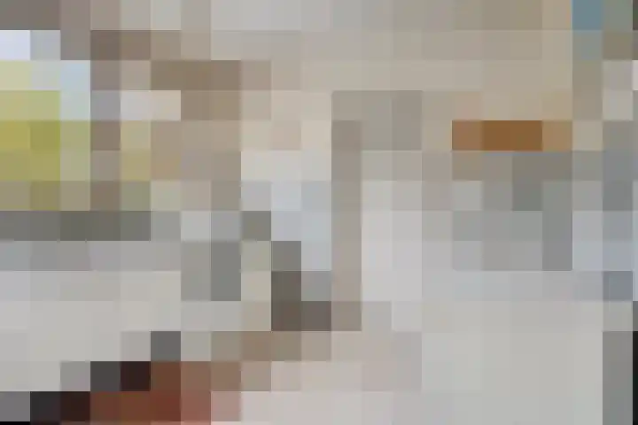 Louise de Colignylaan 6 Goes thumbnail 13