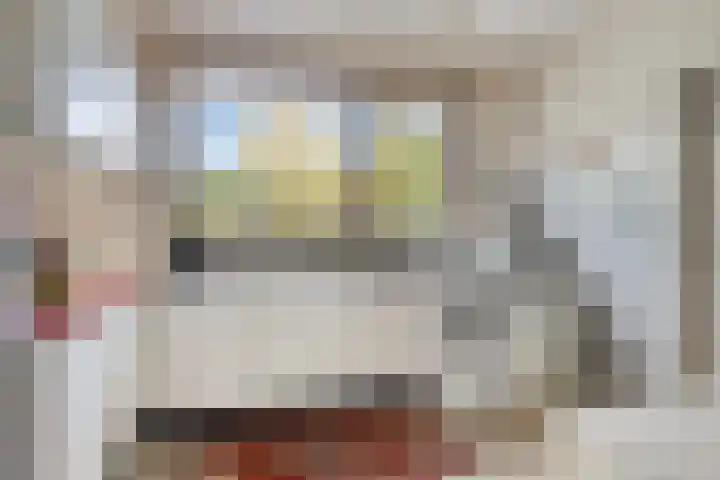 Louise de Colignylaan 6 Goes thumbnail 14