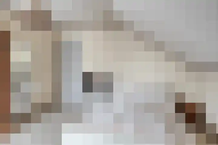 Louise de Colignylaan 6 Goes thumbnail 26