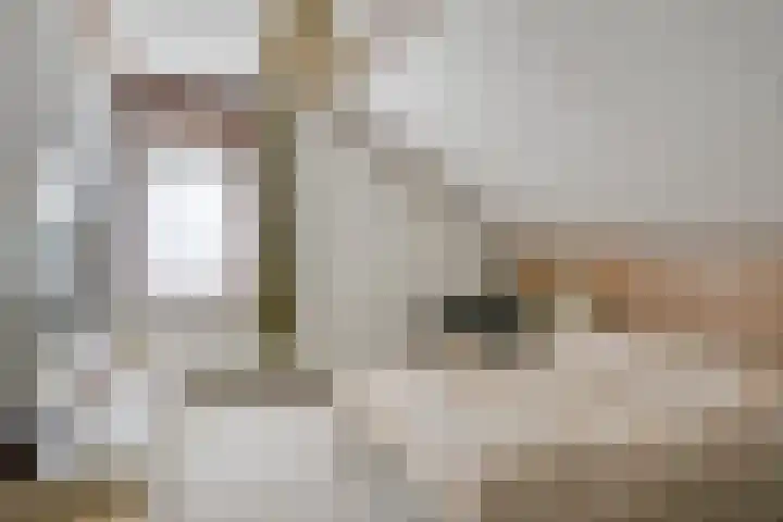 Louise de Colignylaan 6 Goes thumbnail 29