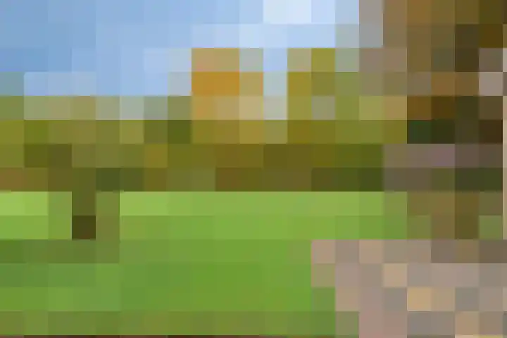 Louise de Colignylaan 6 Goes thumbnail 37