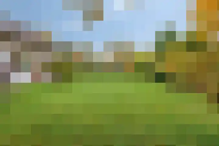 Louise de Colignylaan 6 Goes thumbnail 39