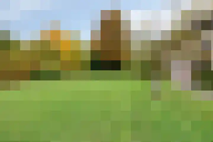 Louise de Colignylaan 6 Goes thumbnail 40