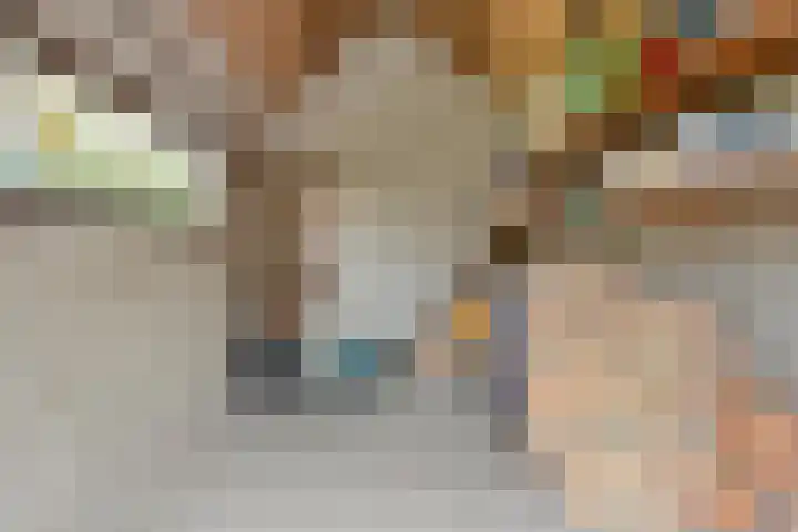 Louise de Colignylaan 6 Goes thumbnail 45