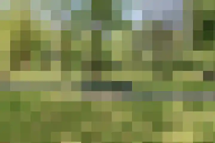 Louise de Colignylaan 6 Goes thumbnail 47