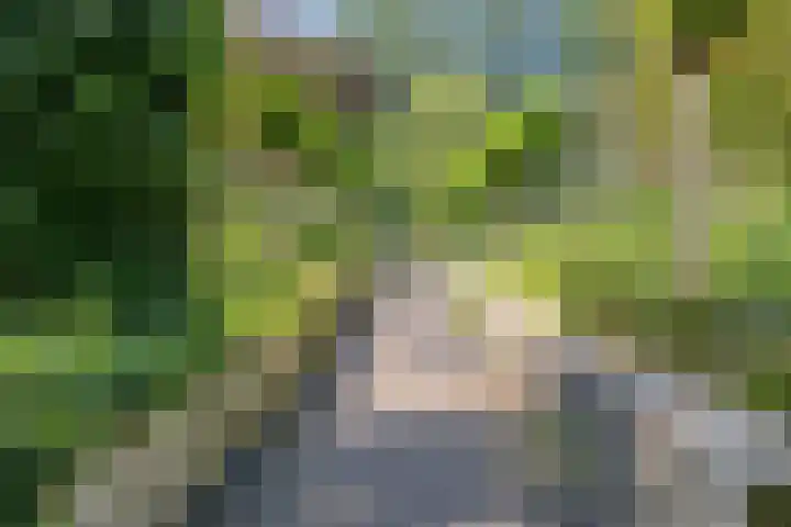 Louise de Colignylaan 6 Goes thumbnail 48