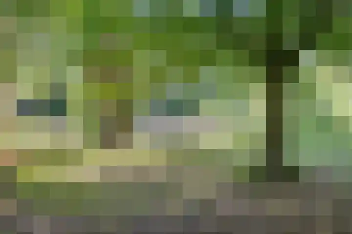 Louise de Colignylaan 6 Goes thumbnail 49