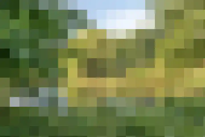 Louise de Colignylaan 6 Goes thumbnail 50