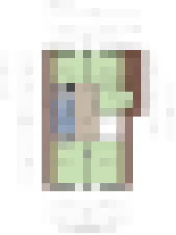 Louise de Colignylaan 6 Goes thumbnail 56