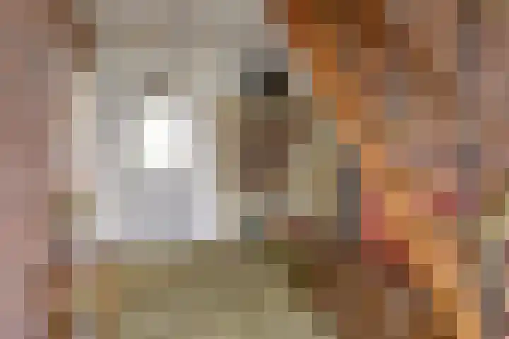 Louise de Colignylaan 6 Goes thumbnail 9