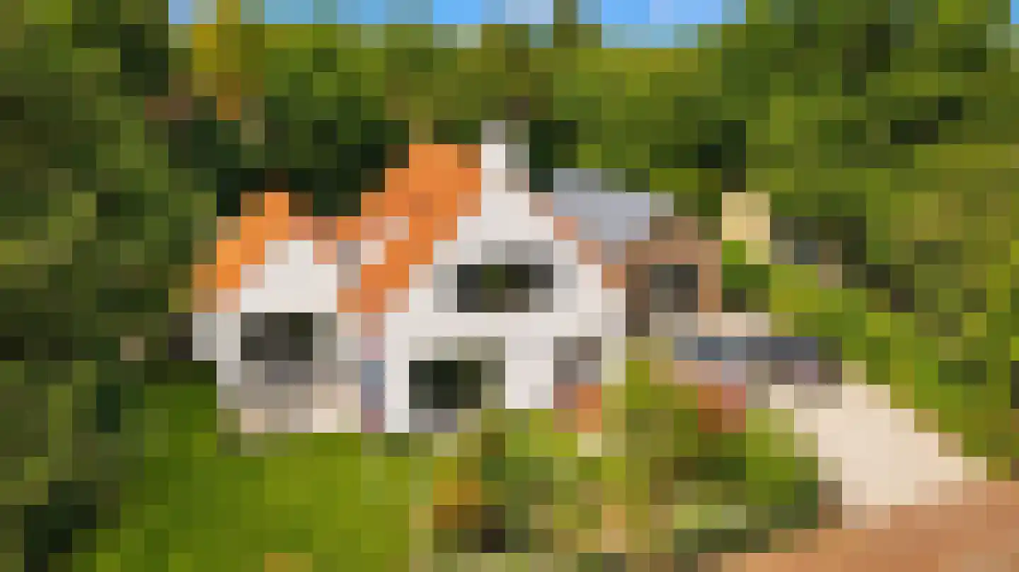 Louise de Colignylaan 6 Santpoort-Zuid thumbnail 44
